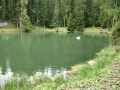 CIMG8266