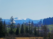 P1020632