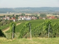 CIMG7504
