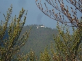 CIMG2569