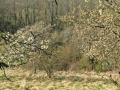 CIMG8964