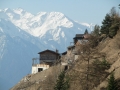 CIMG0790