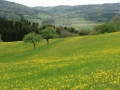 CIMG4837
