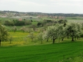 CIMG4840