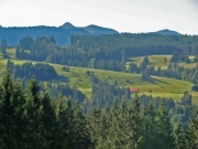Blick zur Nagelfluhkette