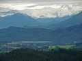 CIMG2493
