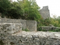 CIMG3511