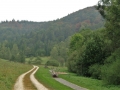 CIMG5958