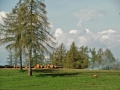 CIMG9705
