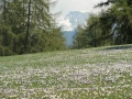 CIMG9712