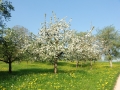 CIMG9508