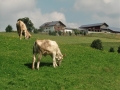 CIMG5733