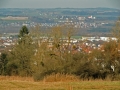 CIMG6594