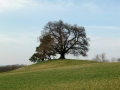 CIMG6611