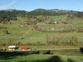 CIMG3597