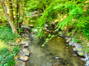 IMG20250516123807