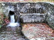 IMG20241120103118