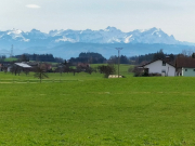 IMG20240221115148