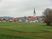 CIMG1598