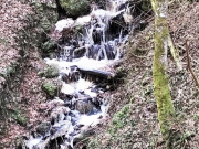 IMG20250112123605