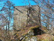 IMG20260225120844