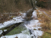 Wurzach04