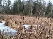 Wurzach06