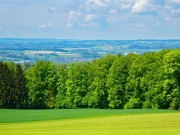 P1050598